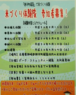 IMG_20180408_111735_413.jpg